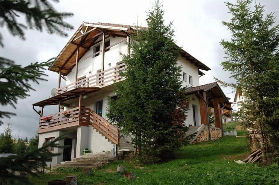 Casa De Vacanta Two Brothers Concept Păltiniş Екстериор снимка
