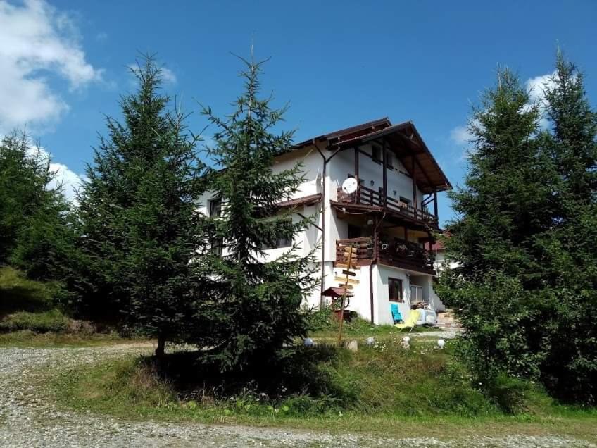 Casa De Vacanta Two Brothers Concept Păltiniş Екстериор снимка