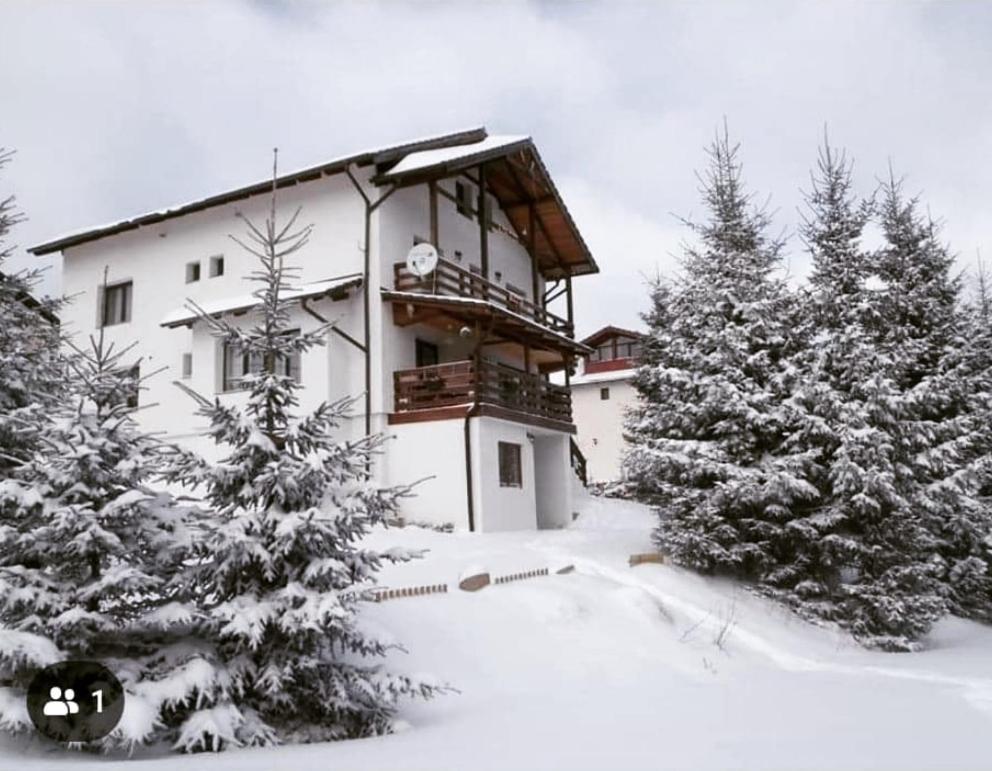 Casa De Vacanta Two Brothers Concept Păltiniş Екстериор снимка