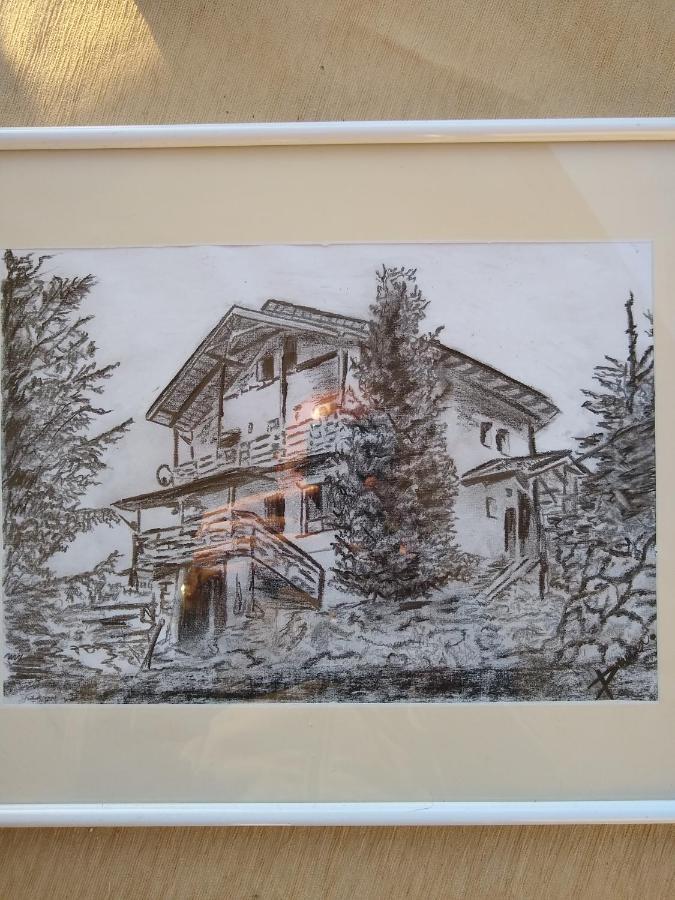 Casa De Vacanta Two Brothers Concept Păltiniş Екстериор снимка