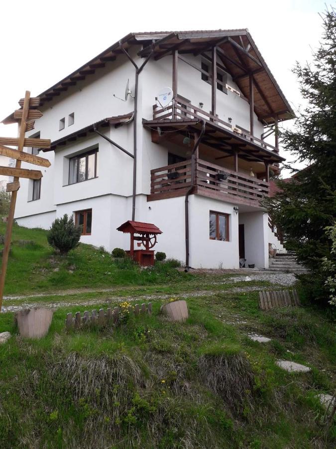 Casa De Vacanta Two Brothers Concept Păltiniş Екстериор снимка