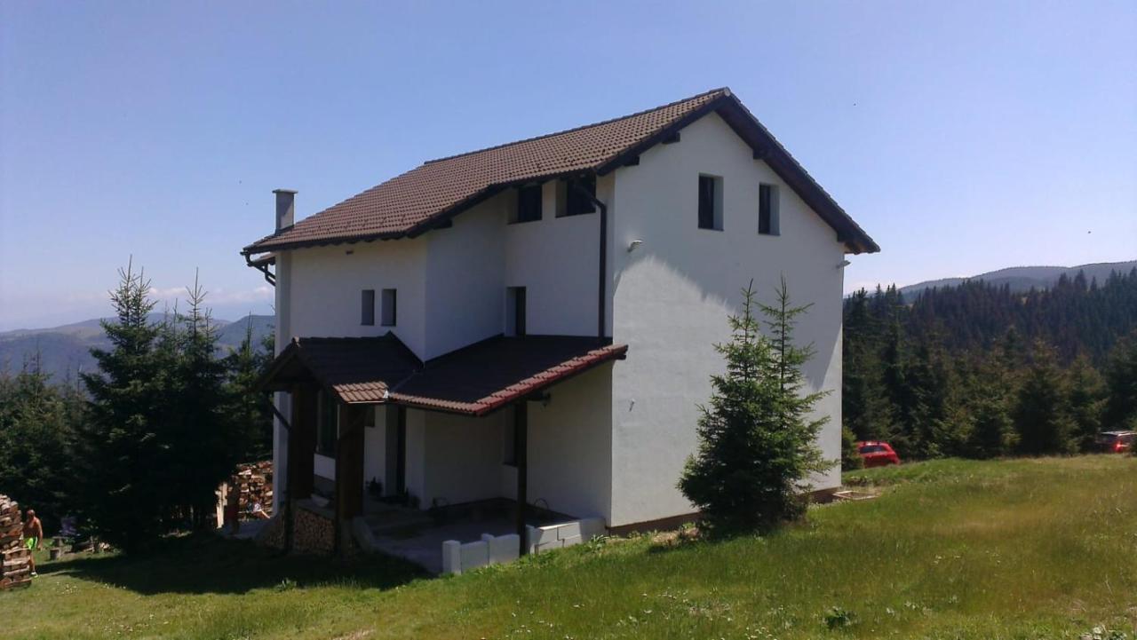 Casa De Vacanta Two Brothers Concept Păltiniş Екстериор снимка